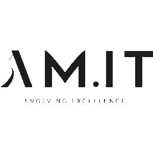 AM.IT SRL logo